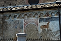 Susa - Convento di San Francesco (Sec. XIII)_05